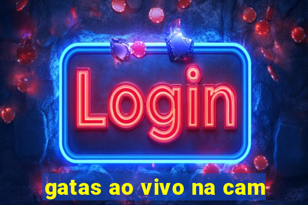 gatas ao vivo na cam